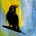 Crow with Feather